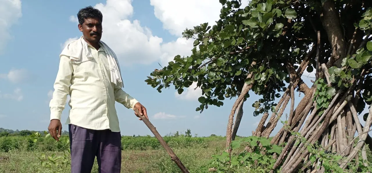A field visit at Murzadi, October 2024.