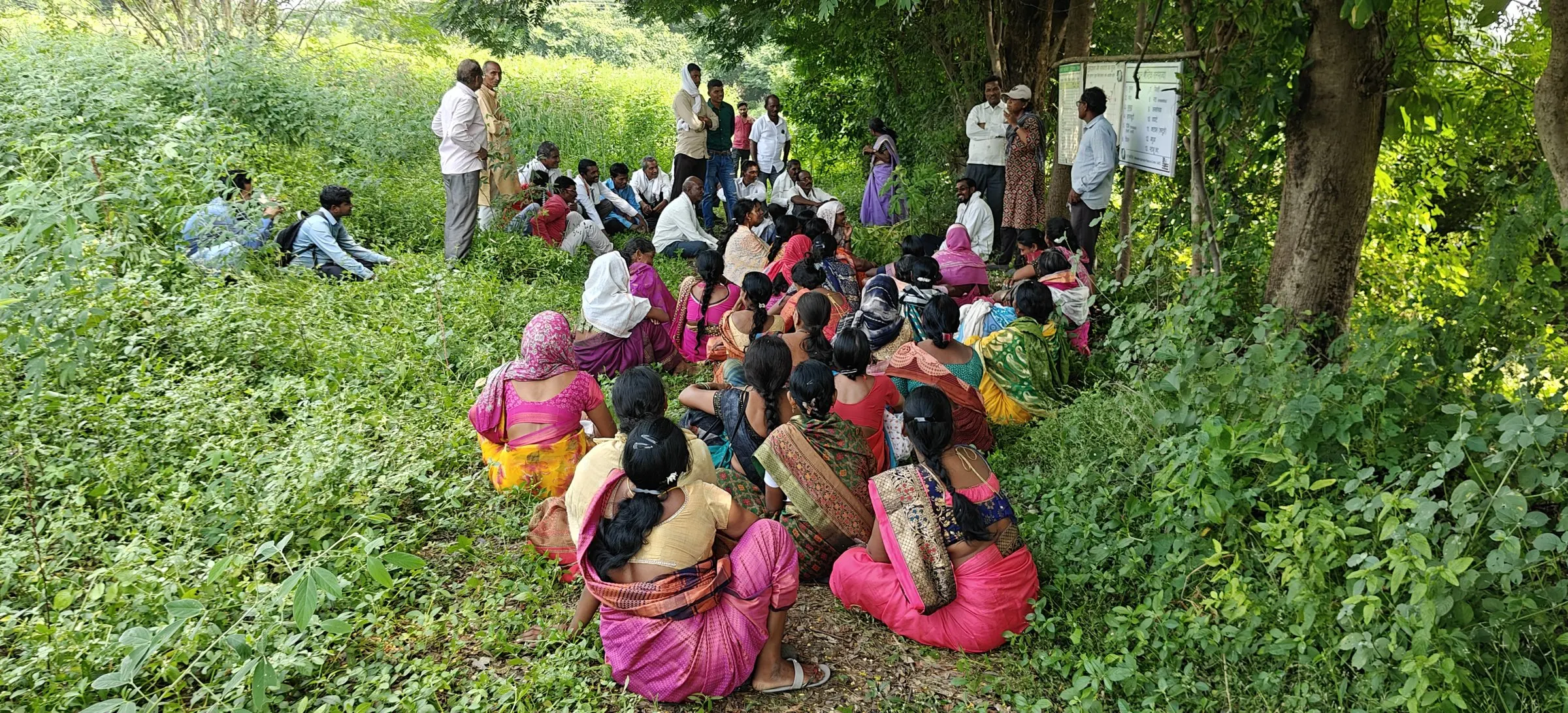 A village meeting under the trees, October 2024.