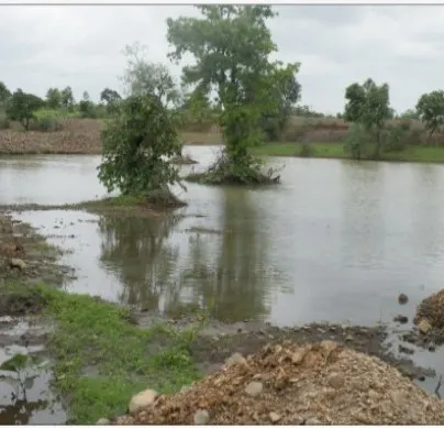 A pond near NETRAVAN after the monsoon.