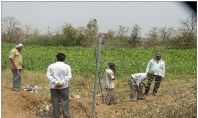 Solar fencing on farms near NETRAVAN to reduce crop loss due to wild animals (2012 to 2015).