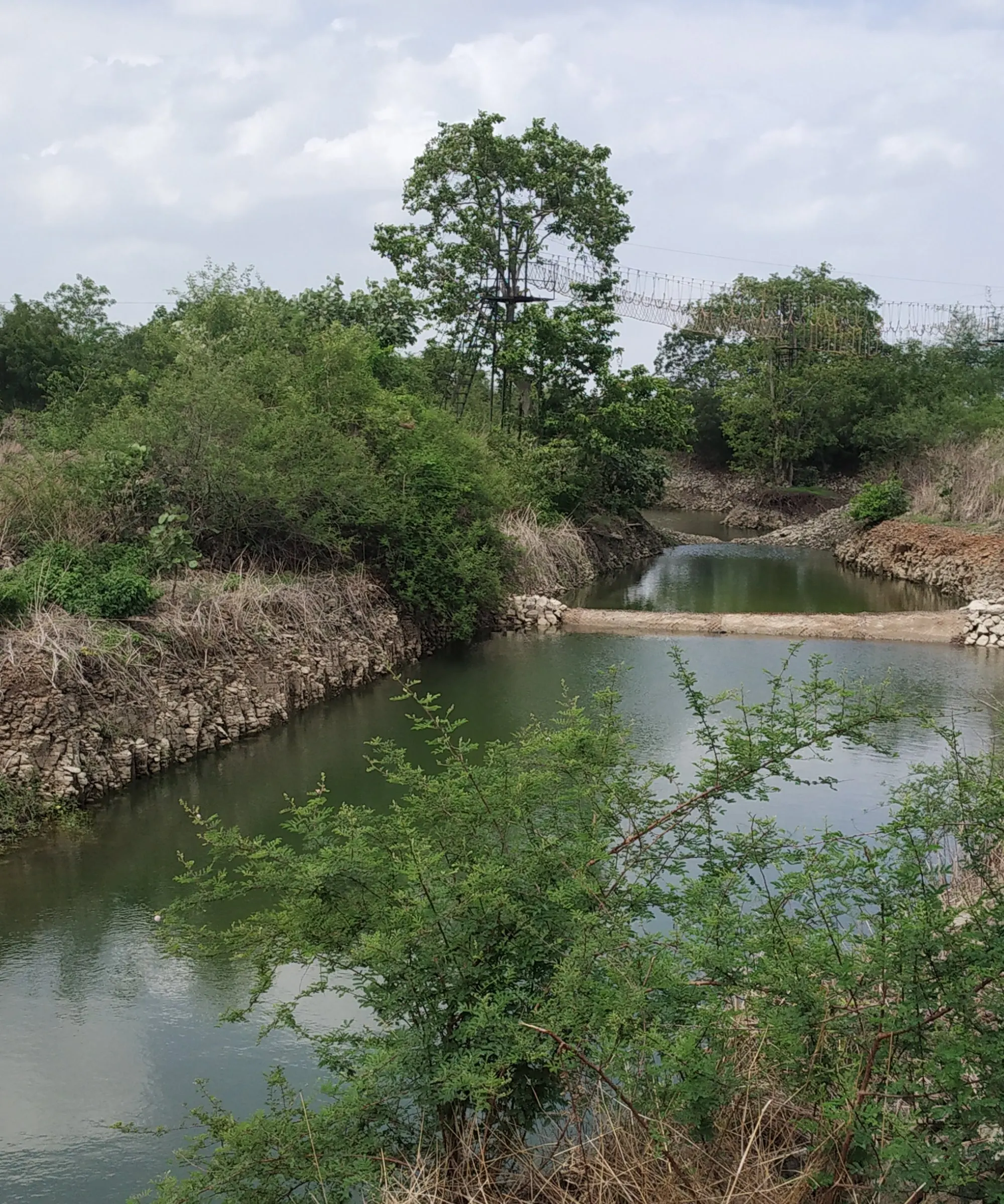 A check dam holding water in a forest stream.