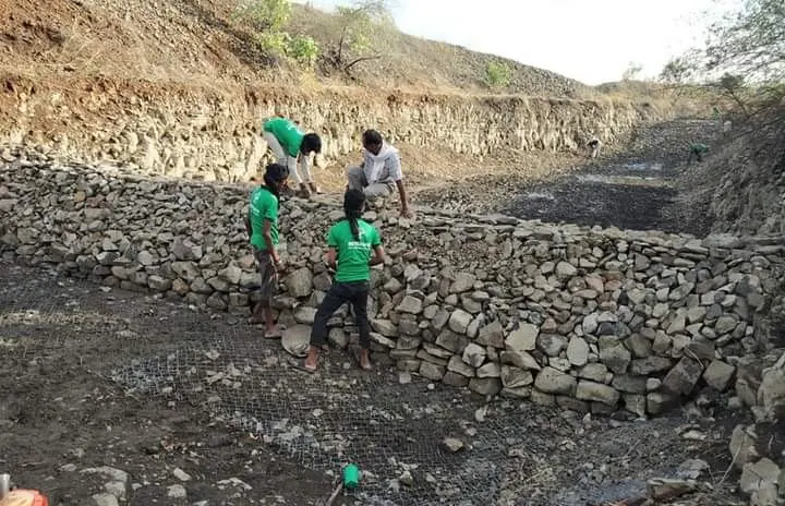Building a stone check dam (gabion bandhara) by hand.