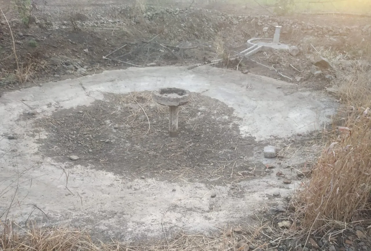 In the summer heat, a forest water hole runs dry.