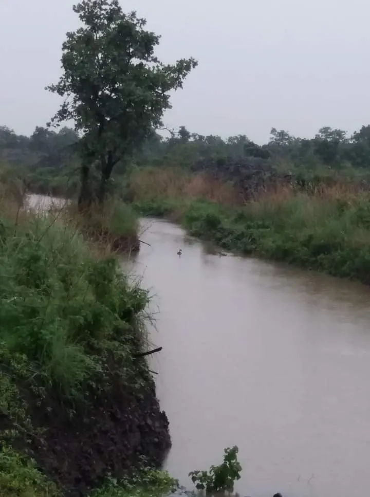A stream running full after the monsoon.